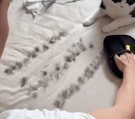 Pet Hair Removal Gloves™